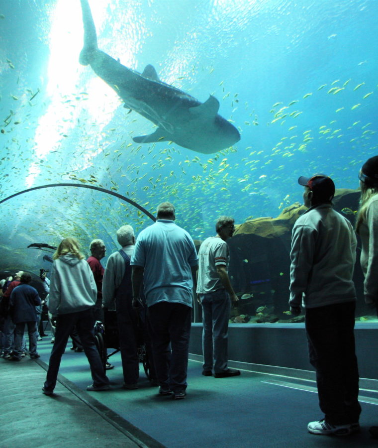 Aquarium Tunnel