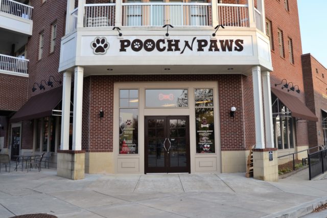outside pooch n paws