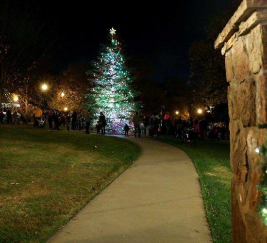 Duluth Ga Christmas 2022 Explore Gwinnett | Guide To Gwinnett: Tree Lightings