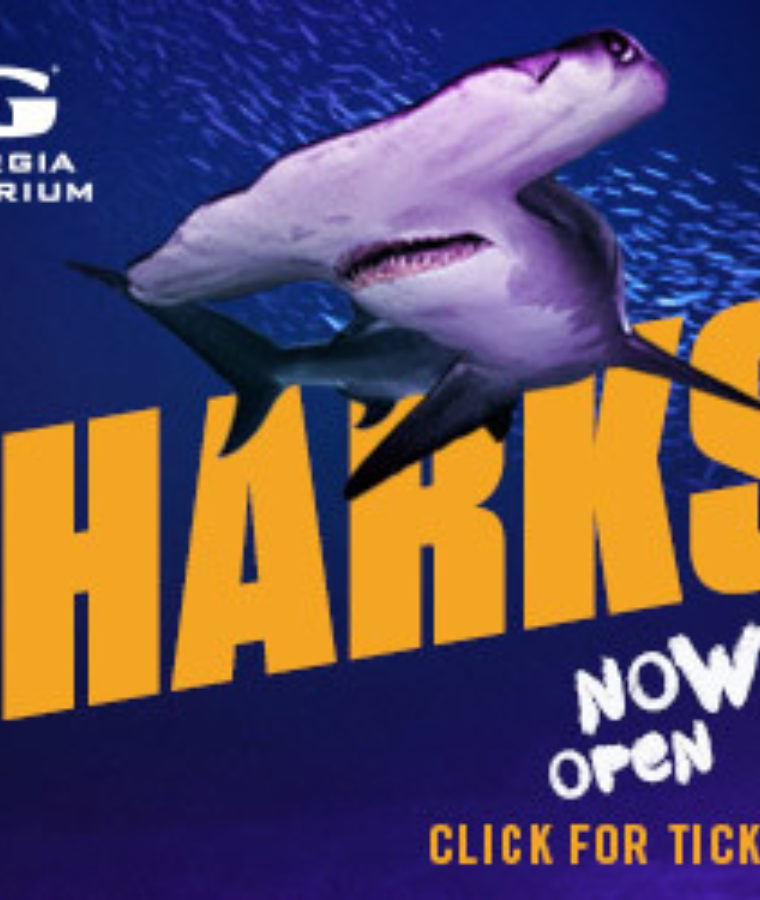 Explore Gwinnett 15 Off At Georgia Aquarium